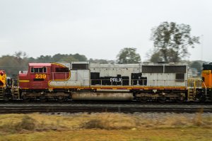 PLRX 239 (Custom).jpg