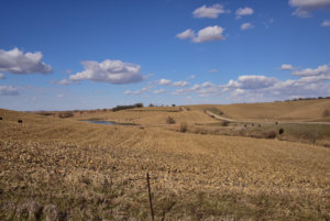 Rolling Hills_110118.JPG