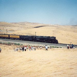 UP 3985 at Altamont II