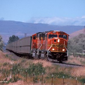 Centralia Coal