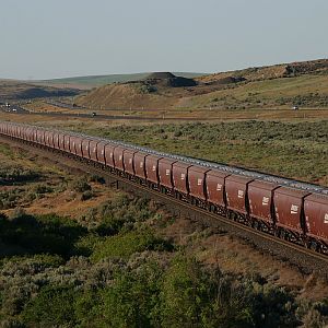 New  BNSF Logo as far as the eye can see