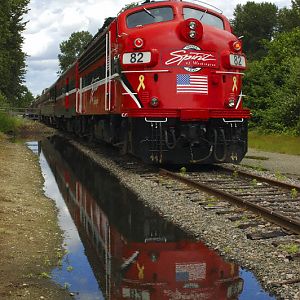 Reflections of a Train