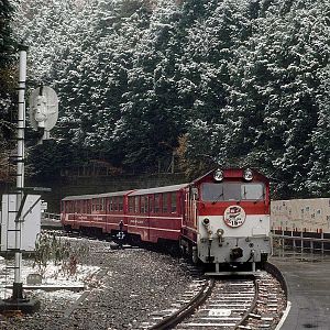 First Snow of Winter