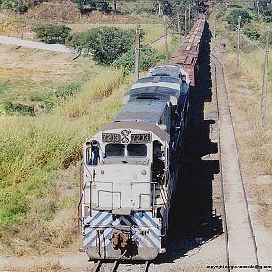 Locomotives in Mayrink 64