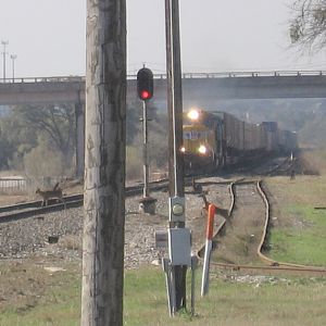 Deer Crossing 2