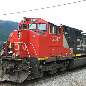 CN 2517