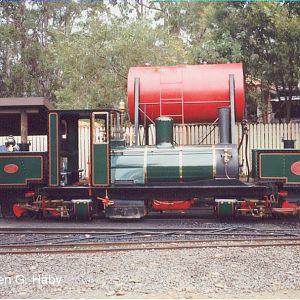 Tasmania Miniature Garrett