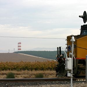 Fall Colors in the San Joaquin Valley