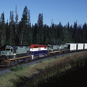 Mackenzie Switcher