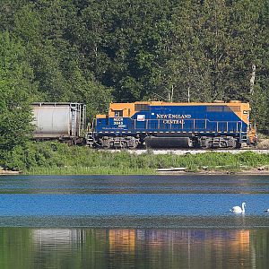 NECR train 610 and a pair of swans on the Thames River