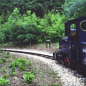 Exbury Gardens Train