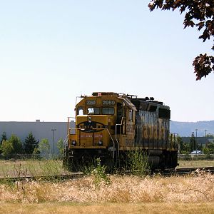 BNSF 2959 in North Portland