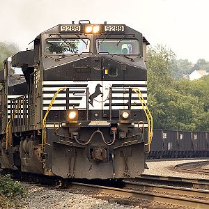 Westbound Empty coal train