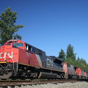 CN 8023 Leads the Way