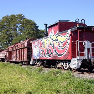 Meeker Southern Train