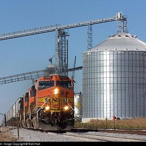 BNSF 4428 at Ransom, Illinois on October 1st, 2006