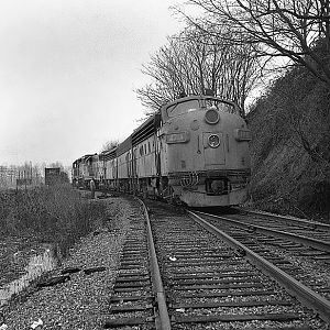 Helper at the Old Coach Yard