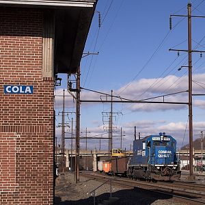 NS in COLA