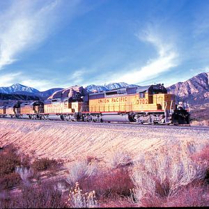 Union Pacific Hauls the APL Stacks