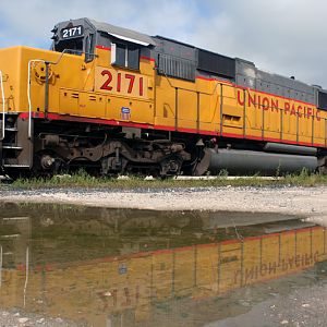 UP Yard after the rain