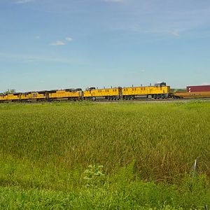 New units headed west on a stack train