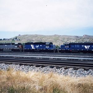 MRL locos abound @ Livingston