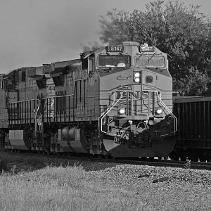 IMG_0729_BNSF_rolling_down_the_line_Killeen_Texas