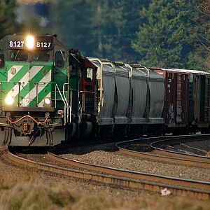 Autumn Leaf RailFest