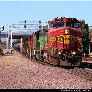 Warbonnet Survivor