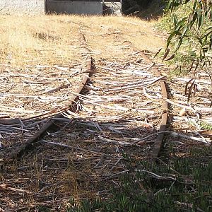 Last of the SP Crocker Industrial Rail Spur Track