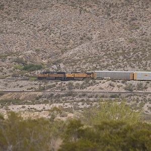 UP 2356 and UP 9509 pull towards El Paso