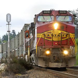 Southbound Warbonnet