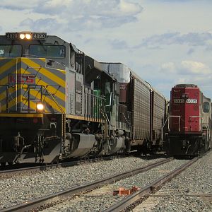 BNSF 'Q'Train With Foreign Power