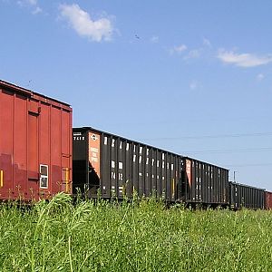 Reading and Northern Hoppers