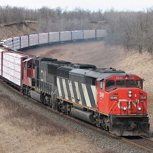 CN Grants Cut