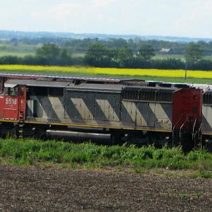 Zebras and a BC Rail