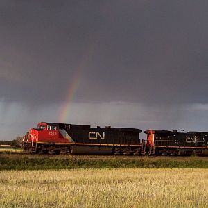 CN Rainbow