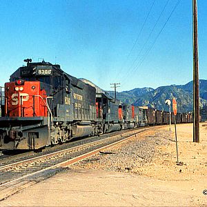 SP #8306 at West Canyon