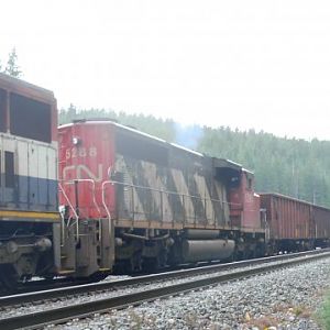 CN 5288