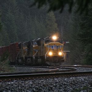 Northbound at McCredie Springs