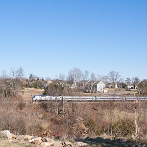 Cardnal Through Crozet