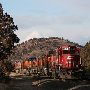 Rare Soo Line visitor to Central Oregon
