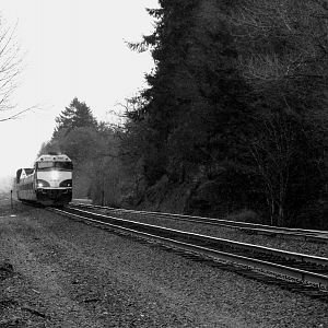 Amtrak Cascades racing north at Kalama, Washington.