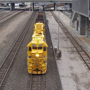 Bumblebees past Union Station