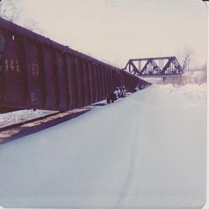 Buffalo Snow '77