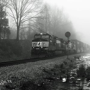 Snow Gives Way to Fog