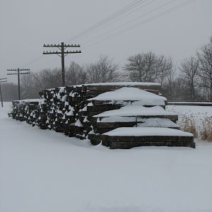 Ties In The Snow