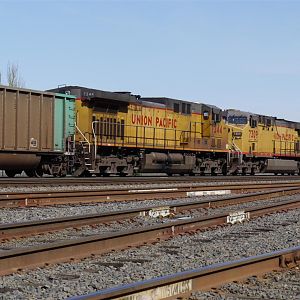 UP coal train on BNSF.