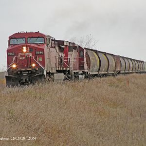 Grain Hopper Cars on CP