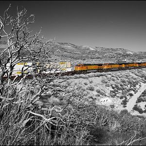 Brunt Bush and Train Heading up Track 2, Selective Color